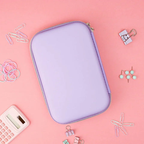 3D Frozen Theme Pencil Case